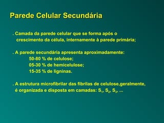 PPaarreeddee CCeelluullaarr SSeeccuunnddáárriiaa 
. Camada da parede celular que se forma após o 
crescimento da célula, internamente à parede primária; 
. A parede secundária apresenta aproximadamente: 
50-80 % de celulose; 
05-30 % de hemicelulose; 
15-35 % de ligninas. 
. A estrutura microfibrilar das fibrilas de celulose,geralmente, 
é organizada e disposta em camadas: S1, S2, S3, ... 
 