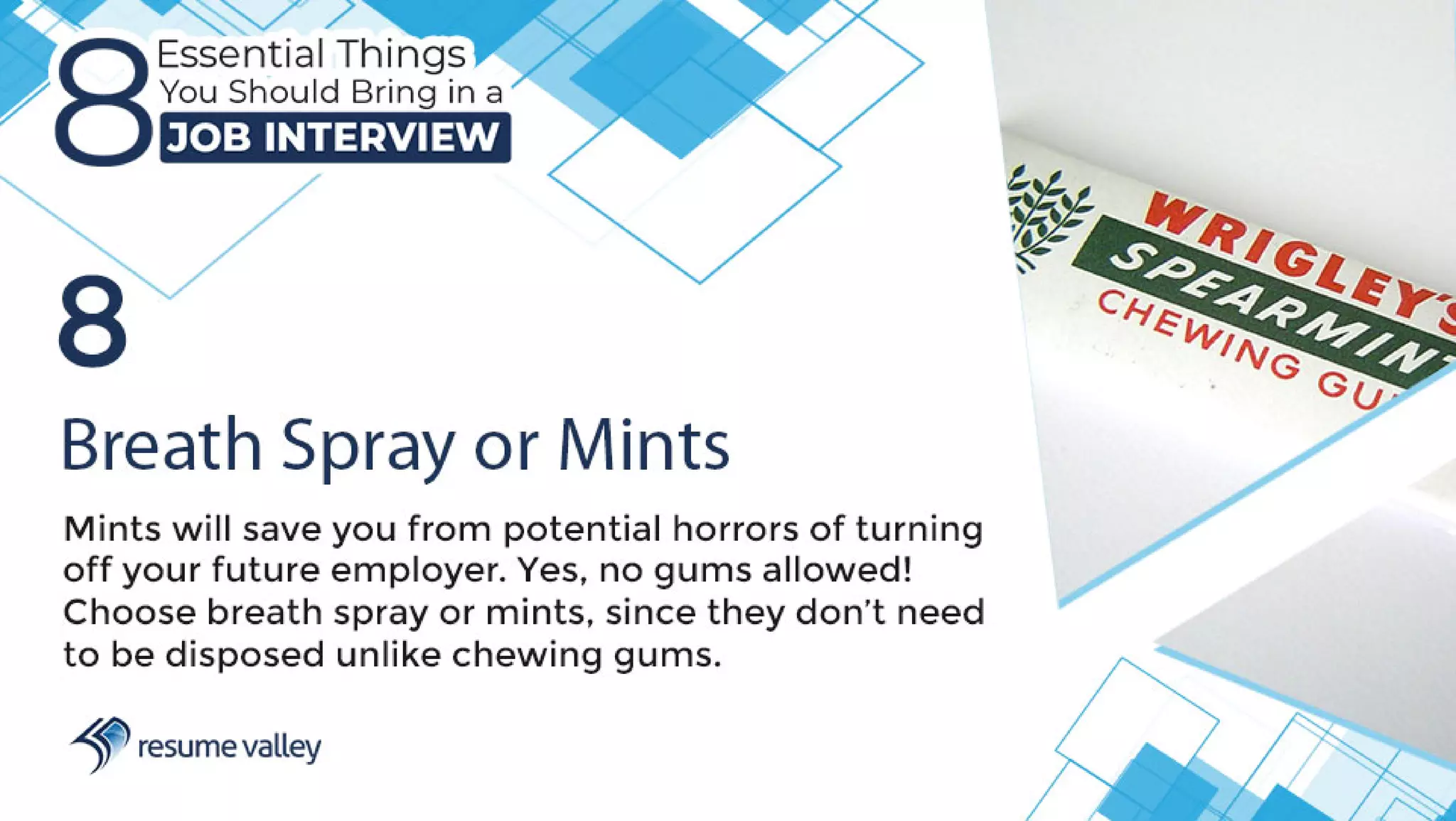 8 Essential Things You Should Bring in a Job Interview