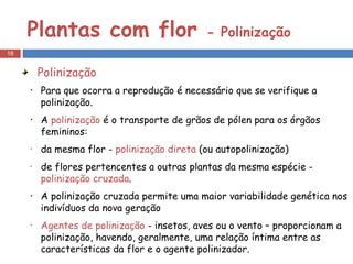 Plantas com flor  - Polinização Polinização Para que ocorra a reprodução é necessário que se verifique a polinização. A  polinização  é o transporte de grãos de pólen para os órgãos femininos: da mesma flor -  polinização direta  (ou autopolinização) de flores pertencentes a outras plantas da mesma espécie -  polinização cruzada .  A polinização cruzada permite uma maior variabilidade genética nos indivíduos da nova geração Agentes de polinização  - insetos, aves ou o vento – proporcionam a  polinização, havendo, geralmente, uma relação íntima entre as características da flor e o agente polinizador. 