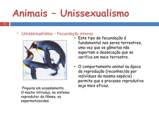 Animais – Unissexualismo Unissexualismo   – Fecundação interna Este tipo de fecundação é fundamental nos seres terrestres, uma vez que os gâmetas não suportam a dessecação que se verifica em meio terrestre. O comportamento animal na época da reprodução (reconhecido por indivíduos da mesma espécie) permite que o processo reprodutivo seja mais eficaz.      Pinguins em acasalamento.  O macho introduz, no sistema reprodutor da fêmea, os espermatozoides. 