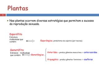 Plantas  Nas plantas ocorrem diversas estratégias que permitem o sucesso da reprodução sexuada. 