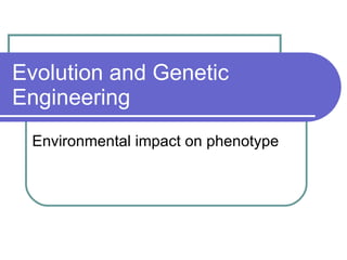 Evolution and Genetic Engineering Environmental impact on phenotype 