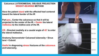 Calcaneus LATEROMEDIAL OBLIQUE PROJECTION
WEIGHT-BEARING METHOD
Have the patient stand with the affected heel centered
toward the lateral border of the IR
Part pos., Center the calcaneus so that it will be
projected to the center of the IR. • Center the lateral
malleolus to the midline axis of the IR.
CR - Directed medially at a caudal angle of 45˚ to enter
the lateral malleolus.
Anatomy Demonstrate• Calcaneal tuberosity • Sinus
tarsi • Cuboid
Useful in diagnosing stress fractures of the calcaneus
and tuberosity.
 