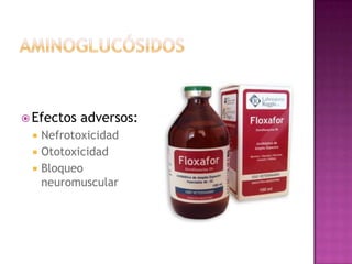  Efectos adversos:
 Nefrotoxicidad
 Ototoxicidad
 Bloqueo
neuromuscular
 