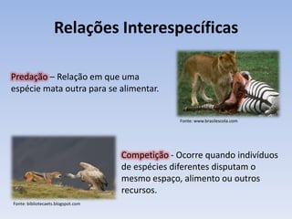 Relações Interespecíficas

Predação – Relação em que uma
espécie mata outra para se alimentar.


                                                 Fonte: www.brasilescola.com




                                    Competição - Ocorre quando indivíduos
                                    de espécies diferentes disputam o
                                    mesmo espaço, alimento ou outros
                                    recursos.
Fonte: bibliotecaets.blogspot.com
 