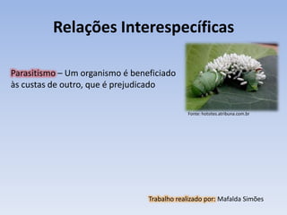 Relações Interespecíficas

Parasitismo – Um organismo é beneficiado
às custas de outro, que é prejudicado

                                              Fonte: hotsites.atribuna.com.br




                                 Trabalho realizado por: Mafalda Simões
 