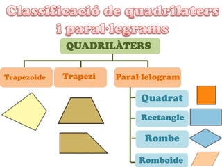 QUADRILÀTERS
vTrapezoide Trapezi Paral·lelogram
Quadrat
Rectangle
Rombe
Romboide
 