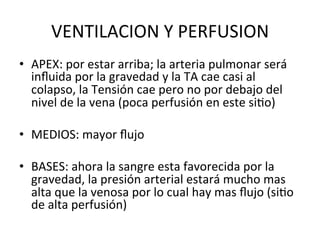 VENTILACION
Y
PERFUSION
• APEX:
por
estar
arriba;
la
arteria
pulmonar
será
influida
por
la
gravedad
y
la
TA
cae
casi
al
colapso,
la
Tensión
cae
pero
no
por
debajo
del
nivel
de
la
vena
(poca
perfusión
en
este
siGo)
• MEDIOS:
mayor
flujo
• BASES:
ahora
la
sangre
esta
favorecida
por
la
gravedad,
la
presión
arterial
estará
mucho
mas
alta
que
la
venosa
por
lo
cual
hay
mas
flujo
(siGo
de
alta
perfusión)