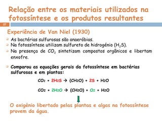 27
Relação entre os materiais utilizados na
fotossíntese e os produtos resultantes
 As bactérias sulfurosas são anaeróbias.
 Na fotossíntese utilizam sulfureto de hidrogénio (H2S).
 Na presença de CO2 sintetizam compostos orgânicos e libertam
enxofre.
Experiência de Van Niel (1930)
 Comparou as equações gerais da fotossíntese em bactérias
sulfurosas e em plantas:
CO2 + 2H2S  (CH2O) + 2S + H2O
CO2 + 2H2O  (CH2O) + O2 + H2O
O oxigénio libertado pelas plantas e algas na fotossíntese
provem da água.
 