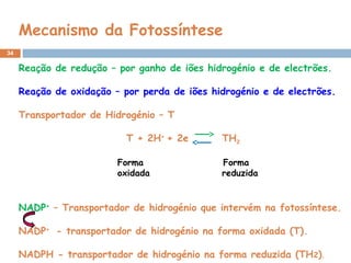 Reação de redução – por ganho de iões hidrogénio e de electrões.
Reação de oxidação – por perda de iões hidrogénio e de electrões.
Transportador de Hidrogénio – T
T + 2H+
+ 2e TH2
Forma Forma
oxidada reduzida
NADP+
– Transportador de hidrogénio que intervém na fotossíntese.
NADP+
- transportador de hidrogénio na forma oxidada (T).
NADPH - transportador de hidrogénio na forma reduzida (TH2).
34
Mecanismo da Fotossíntese
 