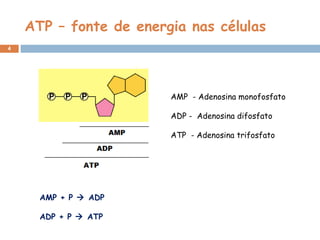 4
AMP + P  ADP
ADP + P  ATP
AMP - Adenosina monofosfato
ADP - Adenosina difosfato
ATP - Adenosina trifosfato
ATP – fonte de energia nas células
 