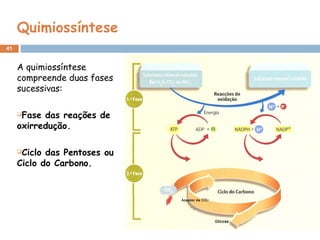 41
Quimiossíntese
A quimiossíntese
compreende duas fases
sucessivas:
Fase das reações de
oxirredução.
Ciclo das Pentoses ou
Ciclo do Carbono.
 