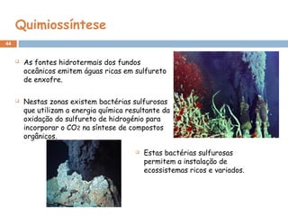 44
Quimiossíntese
 As fontes hidrotermais dos fundos
oceânicos emitem águas ricas em sulfureto
de enxofre.
 Nestas zonas existem bactérias sulfurosas
que utilizam a energia química resultante da
oxidação do sulfureto de hidrogénio para
incorporar o CO2 na síntese de compostos
orgânicos.
 Estas bactérias sulfurosas
permitem a instalação de
ecossistemas ricos e variados.
 