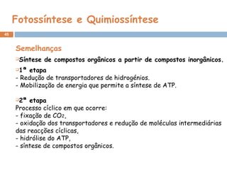 45
Fotossíntese e Quimiossíntese
Semelhanças
Síntese de compostos orgânicos a partir de compostos inorgânicos.
1ª etapa
- Redução de transportadores de hidrogénios.
- Mobilização de energia que permite a síntese de ATP.
2ª etapa
Processo cíclico em que ocorre:
- fixação de CO2,
- oxidação dos transportadores e redução de moléculas intermediárias
das reacções cíclicas,
- hidrólise do ATP,
- síntese de compostos orgânicos.
 
