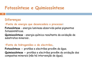 46
Fotossíntese e Quimiossíntese
Diferenças
Fonte de energia que desencadeia o processo:
Fotossíntese - energia luminosa absorvida pelos pigmentos
fotossintéticos.
Quimiossíntese - energia química resultante da oxidação de
substratos minerais .
Fonte de hidrogeniões e de electrões.
Fotossíntese - protões e electrões provêm da água.
Quimiossíntese - protões e electrões provêm da oxidação dos
compostos minerais (não há intervenção de água).
 