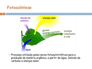 8
 Processo utilizado pelos seres fotoautotróficos para a
produção de matéria orgânica, a partir de água, dióxido de
carbono e energia solar.
Fotossíntese
 