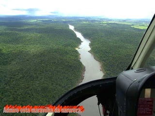 Admire esta maravilha da narureza. 