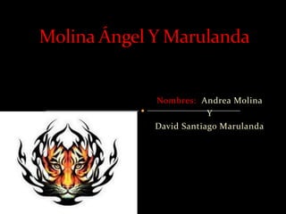 Nombres: Andrea Molina
            Y
David Santiago Marulanda
 