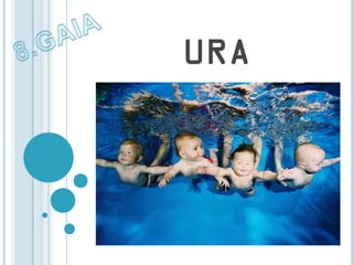 8.gaia ura
