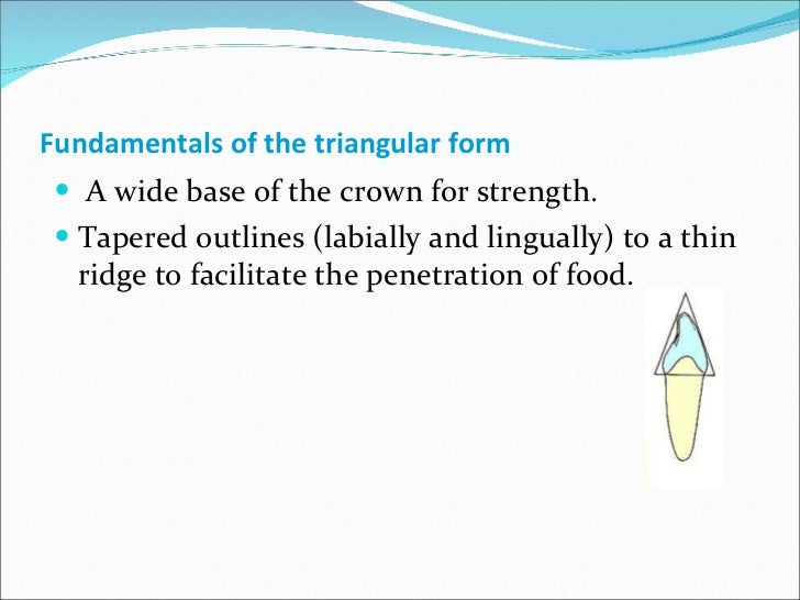 Geometries Of Crown Outlines