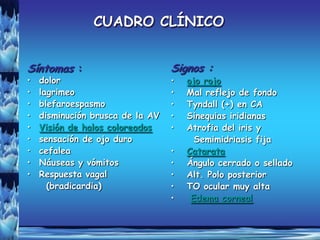 CUADRO CLÍNICO


Síntomas :                        Signos :
•   dolor                         •   ojo rojo
•   lagrimeo                      •   Mal reflejo de fondo
•   blefaroespasmo                •   Tyndall (+) en CA
•   disminución brusca de la AV   •   Sinequias iridianas
•   Visión de halos coloreados    •   Atrofia del iris y
•   sensación de ojo duro               Semimidriasis fija
•   cefalea                       •   Catarata
•   Náuseas y vómitos             •   Ángulo cerrado o sellado
•   Respuesta vagal               •   Alt. Polo posterior
      (bradicardia)               •   TO ocular muy alta
                                  •    Edema corneal
 