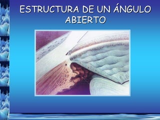 ESTRUCTURA DE UN ÁNGULO
        ABIERTO
 