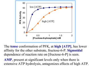 The tense conformation of PFK, at high [ATP], has lower
affinity for the other substrate, fructose-6-P. Sigmoidal
dependen...