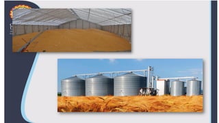 8-Grain-Storage_2.pdf