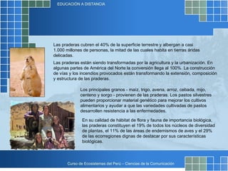 Las praderas cubren el 40% de la superficie terrestre y albergan a casi 1.000 millones de personas, la mitad de las cuales habita en tierras áridas delicadas. Las praderas están siendo transformadas por la agricultura y la urbanización. En algunas partes de América del Norte la conversión llega al 100%. La construcción de vías y los incendios provocados están transformando la extensión, composición y estructura de las praderas. Los principales granos - maíz, trigo, avena, arroz, cebada, mijo, centeno y sorgo - provienen de las praderas. Los pastos silvestres pueden proporcionar material genético para mejorar los cultivos alimentarios y ayudar a que las variedades cultivadas de pastos desarrollen resistencia a las enfermedades. En su calidad de hábitat de flora y fauna de importancia biológica, las praderas constituyen el 19% de todos los núcleos de diversidad de plantas, el 11% de las áreas de endemismos de aves y el 29% de las ecorregiones dignas de destacar por sus características biológicas. 