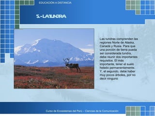 5.- LA TUNDRA Las tundras comprenden las regiones Norte de Alaska, Canadá y Rusia. Para que una porción de tierra pueda ser considerada tundra, debe reunir dos importantes requisitos. El más importante, tener el suelo helado permanentemente. Y, el segundo, debe haber muy pocos árboles, por no decir ninguno  