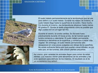 El suelo helado permanentemente es la terminología que se usa para definir a un suelo helado. Durante los meses de invierno, el suelo helado llega hasta la superficie de la tundra. Hace mucho frío durante el invierno, ¡las temperaturas alcanzan hasta menos 60 grados F!. Quizás te estés preguntando cómo es posible que algo pueda vivir en un lugar tan frío.  Así mismo, gran variedad de animales llegan para comer de estas plantas. Los insectos vienen para alimentarse de los animales y las aves aparecen para disfrutar de los insectos. El resultado es el de ¡un ecosistema muy activo!.  Durante el verano, la tundra cambia. Es Sol está fuera prácticamente durante 24 horas al día, de tal manera que la tundra comienza a calentarse. El suelo helado permanente comienza a derretirse en la superficie, y comienza a crecer vida vegetal. Sin embrago, el suelo helado permanente sólo desaparece en unas pocas pulgadas por debajo de la superficie. No existe suficiente tierra para que puedan crecer árboles, es por esto que, en las tundras, sólo crecen plantas pequeñas.  