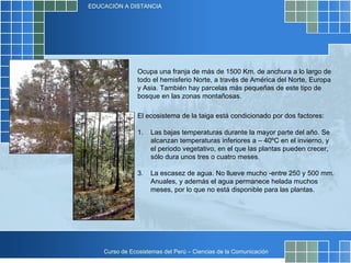 Ocupa una franja de más de 1500 Km. de anchura a lo largo de todo el hemisferio Norte, a través de América del Norte, Europa y Asia. También hay parcelas más pequeñas de este tipo de bosque en las zonas montañosas.   El ecosistema de la taiga está condicionado por dos factores:  Las bajas temperaturas durante la mayor parte del año. Se alcanzan temperaturas inferiores a – 40ºC en el invierno, y el periodo vegetativo, en el que las plantas pueden crecer, sólo dura unos tres o cuatro meses. La escasez de agua. No llueve mucho -entre 250 y 500 mm. Anuales, y además el agua permanece helada muchos meses, por lo que no está disponible para las plantas.  
