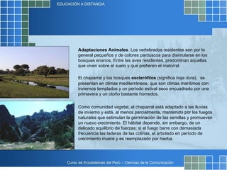 Como comunidad vegetal, el chaparral está adaptado a las lluvias de invierno y está, al menos parcialmente, mantenido por los fuegos naturales que estimulan la germinación de las semillas y promueven un nuevo crecimiento. El hábitat depende, sin embargo, de un delicado equilibrio de fuerzas; si el fuego barre con demasiada frecuencia las laderas de las colinas, el arbolado en período de crecimiento muere y es reemplazado por hierba.  Adaptaciones Animales . Los vertebrados residentes son por lo general pequeños y de colores parduscos para disimularse en los bosques enanos. Entre las aves residentes, predominan aquellas que viven sobre el suelo y que prefieren el matorral.  El chaparral y los bosques  esclerófilos  (significa  hoja dura ).   se presentan en climas mediterráneos, que son climas marítimos con inviernos templados y un período estival seco encuadrado por una primavera y un otoño bastante húmedos.  
