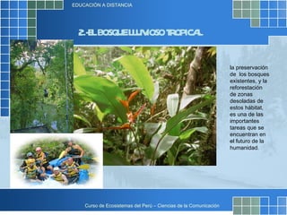 2.-EL BOSQUE LLUVIOSO TROPICAL la preservación de  los bosques existentes, y la reforestación de zonas desoladas de estos hábitat, es una de las importantes tareas que se encuentran en el futuro de la humanidad.  