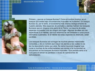 Primero, ¿que es un bosque lluvioso? Como el nombre implica, es un bosque que existe bajo circunstancias inusuales de humedad. Un bosque lluvioso es, por lo tanto, el ecosistema más diverso biológicamente de nuestro planeta. Mas especies de animales y plantas habitan los bosques lluviosos que en ninguna otra parte de la Tierra. La mayoría de estas especies no pueden vivir en ningún otro lugar. Algunas de ellas son tan específicas a un hábitat, que sus entornos se ven limitados a unos pocos kilómetros cuadrados. Si el hábitat de estas especies es destruido, están perdidas.  Los bosques lluviosos son el hogar de muchas plantas medicinales conocidas, y de un número aun mayor de plantas a las cuales no se les ha descubierto todos sus usos. No seria irracional imaginar que curas a muchas de las enfermedades que azotan a la humanidad se encuentran en los bosques lluviosos tropicales. Que perdida seria si la cura para el cáncer se perdiese a causa de operaciones de deforestación. 