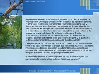 Un bosque lluvioso es una maquina gigante de producción de oxígeno. La vegetación en un bosque lluvioso absorbe toneladas de dióxido de carbono, y a través de fotosíntesis, libera grandes volúmenes de oxigeno puro y limpio. Al despejar áreas forestales, las bases de los árboles y las plantas son quemadas. En este proceso, cantidades enormes de dióxido de carbono son liberadas en la atmósfera. Esto, a su vez, debilita la capa protectora de ozono que envuelve la tierra. Tal actividad contribuye al "Efecto Invernadero" que conduce a un calentamiento global. ¡Al eliminar los árboles, estamos quitando las hojas que generan oxígeno, y al quemarlos, estamos incrementando la concentración de dióxido de carbón! La vegetación de los bosques lluviosos actúa como un ancla, manteniendo la tierra en su lugar en contra de la erosión que causan los aluviones. Los árboles inmensos en los bosques se pueden considerar como el pegamento que mantiene el ecosistema en lugar. Con sus extensivos sistemas de raíces, los bosques "sostienen" el suelo y lo protegen de la erosión.  El valor de los bosques lluviosos tropicales ha sido establecida, pero una nueva pregunta emerge; ¿Que podemos hacer para salvarlos?  