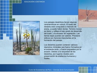 Los paisajes desérticos tienen algunas características en común. El suelo del desierto está compuesto a menudo de arena, y puede haber dunas. Terreno rocoso es típico, y refleja el bajo grado de desarrollo del suelo, y la escasez de vegetación. Las tierras bajas pueden ser salares. Procesos eólicos son factores importantes en la formación del paisaje. Los desiertos pueden contener valiosos depósitos minerales que fueron formados en el ambiente árido, o fueron expuestos por la erosión. Debido a la sequedad de los desiertos, son lugares ideales para preservación de artefactos humanos y fósiles. 
