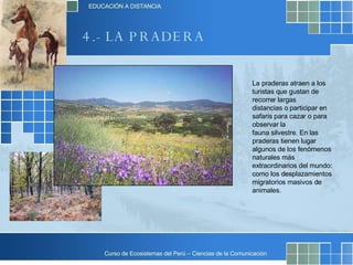 La praderas atraen a los turistas que gustan de recorrer largas distancias o participar en safaris para cazar o para observar la fauna silvestre. En las praderas tienen lugar algunos de los fenómenos naturales más extraordinarios del mundo: como los desplazamientos migratorios masivos de animales. 4.- LA PRADERA 