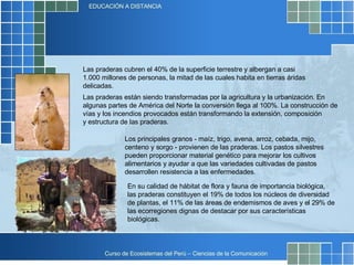Las praderas cubren el 40% de la superficie terrestre y albergan a casi 1.000 millones de personas, la mitad de las cuales habita en tierras áridas delicadas. Las praderas están siendo transformadas por la agricultura y la urbanización. En algunas partes de América del Norte la conversión llega al 100%. La construcción de vías y los incendios provocados están transformando la extensión, composición y estructura de las praderas. Los principales granos - maíz, trigo, avena, arroz, cebada, mijo, centeno y sorgo - provienen de las praderas. Los pastos silvestres pueden proporcionar material genético para mejorar los cultivos alimentarios y ayudar a que las variedades cultivadas de pastos desarrollen resistencia a las enfermedades. En su calidad de hábitat de flora y fauna de importancia biológica, las praderas constituyen el 19% de todos los núcleos de diversidad de plantas, el 11% de las áreas de endemismos de aves y el 29% de las ecorregiones dignas de destacar por sus características biológicas. 