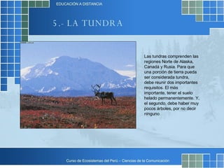 5.- LA TUNDRA Las tundras comprenden las regiones Norte de Alaska, Canadá y Rusia. Para que una porción de tierra pueda ser considerada tundra, debe reunir dos importantes requisitos. El más importante, tener el suelo helado permanentemente. Y, el segundo, debe haber muy pocos árboles, por no decir ninguno  