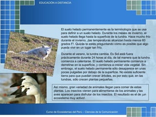 El suelo helado permanentemente es la terminología que se usa para definir a un suelo helado. Durante los meses de invierno, el suelo helado llega hasta la superficie de la tundra. Hace mucho frío durante el invierno, ¡las temperaturas alcanzan hasta menos 60 grados F!. Quizás te estés preguntando cómo es posible que algo pueda vivir en un lugar tan frío.  Así mismo, gran variedad de animales llegan para comer de estas plantas. Los insectos vienen para alimentarse de los animales y las aves aparecen para disfrutar de los insectos. El resultado es el de ¡un ecosistema muy activo!.  Durante el verano, la tundra cambia. Es Sol está fuera prácticamente durante 24 horas al día, de tal manera que la tundra comienza a calentarse. El suelo helado permanente comienza a derretirse en la superficie, y comienza a crecer vida vegetal. Sin embrago, el suelo helado permanente sólo desaparece en unas pocas pulgadas por debajo de la superficie. No existe suficiente tierra para que puedan crecer árboles, es por esto que, en las tundras, sólo crecen plantas pequeñas.  