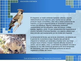 El chaparral, un medio ambiente bastante uniforme, soporta relativamente pocas especies, pero muchas de sus plantas producen bayas comestibles y dan vida a vastas poblaciones de insectos y lo que el chaparral pierde en diversidad lo gana en número de individuos. Algunos vertebrados residentes característicos son los pequeños, ratas del bosque, ardillas listadas, lagartos y otros. Un ave característica del chaparral es el chochín herrerillo ( Chamaea fasciata ), una especie callada cuya área coincide casi exactamente con los límites del chaparral.  La temporada de lluvias, que es la de crecimiento, se extiende por lo general de noviembre a mayo. Durante ese período el chaparral es habitado por cariacúes y muchas aves, que luego emigran hacia el Norte o buscan mayores altitudes durante el verano, que es cálido y seco. La densidad de población de aves e insectos es muy alta cuando se aproxima el fin de la temporada de crecimiento, pero luego disminuye conforme se seca la vegetación a finales del verano.  