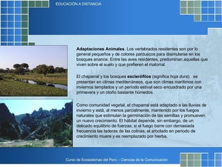 Como comunidad vegetal, el chaparral está adaptado a las lluvias de invierno y está, al menos parcialmente, mantenido por los fuegos naturales que estimulan la germinación de las semillas y promueven un nuevo crecimiento. El hábitat depende, sin embargo, de un delicado equilibrio de fuerzas; si el fuego barre con demasiada frecuencia las laderas de las colinas, el arbolado en período de crecimiento muere y es reemplazado por hierba.  Adaptaciones Animales . Los vertebrados residentes son por lo general pequeños y de colores parduscos para disimularse en los bosques enanos. Entre las aves residentes, predominan aquellas que viven sobre el suelo y que prefieren el matorral.  El chaparral y los bosques  esclerófilos  (significa  hoja dura ).   se presentan en climas mediterráneos, que son climas marítimos con inviernos templados y un período estival seco encuadrado por una primavera y un otoño bastante húmedos.  