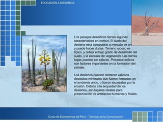 Los paisajes desérticos tienen algunas características en común. El suelo del desierto está compuesto a menudo de arena, y puede haber dunas. Terreno rocoso es típico, y refleja el bajo grado de desarrollo del suelo, y la escasez de vegetación. Las tierras bajas pueden ser salares. Procesos eólicos son factores importantes en la formación del paisaje. Los desiertos pueden contener valiosos depósitos minerales que fueron formados en el ambiente árido, o fueron expuestos por la erosión. Debido a la sequedad de los desiertos, son lugares ideales para preservación de artefactos humanos y fósiles. 