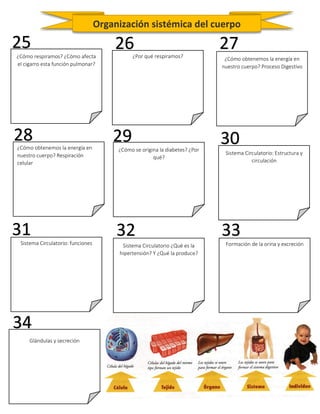 ¿Cómo respiramos? ¿Cómo afecta
el cigarro esta función pulmonar?
¿Por qué respiramos? ¿Cómo obtenemos la energía en
nuestro cuerpo? Proceso Digestivo
Sistema Circulatorio: Estructura y
circulación
¿Cómo se origina la diabetes? ¿Por
qué?
¿Cómo obtenemos la energía en
nuestro cuerpo? Respiración
celular
Sistema Circulatorio: funciones Sistema Circulatorio ¿Qué es la
hipertensión? Y ¿Qué la produce?
Formación de la orina y excreción
Glándulas y secreción
Organización sistémica del cuerpo
25 26 27
28 29 30
31 32 33
34
 