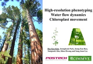 High-resolution phenotyping
Water flow dynamics
Chloroplast movement

Hae Koo Kim, Joonghyuk Park, Jeong Eun Ryu,
Sungsook Ahn, Ildoo Hwang and Sang Joon Lee

 