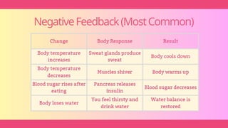 NegativeFeedback(MostCommon)
 