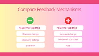 CompareFeedbackMechanisms
NEGATIVE FEEDBACK POSITIVE FEEDBACK
Reverses change Increases change
Maintains balance Completes a process
Common Rare
 