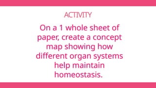 ACTIVITY
On a 1 whole sheet of
paper, create a concept
map showing how
different organ systems
help maintain
homeostasis.
 