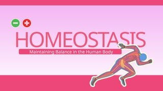 HOMEOSTASIS
Maintaining Balance in the Human Body
 